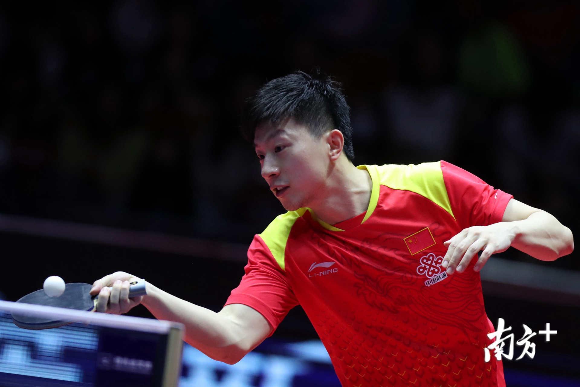 他们的表现 他们的表现