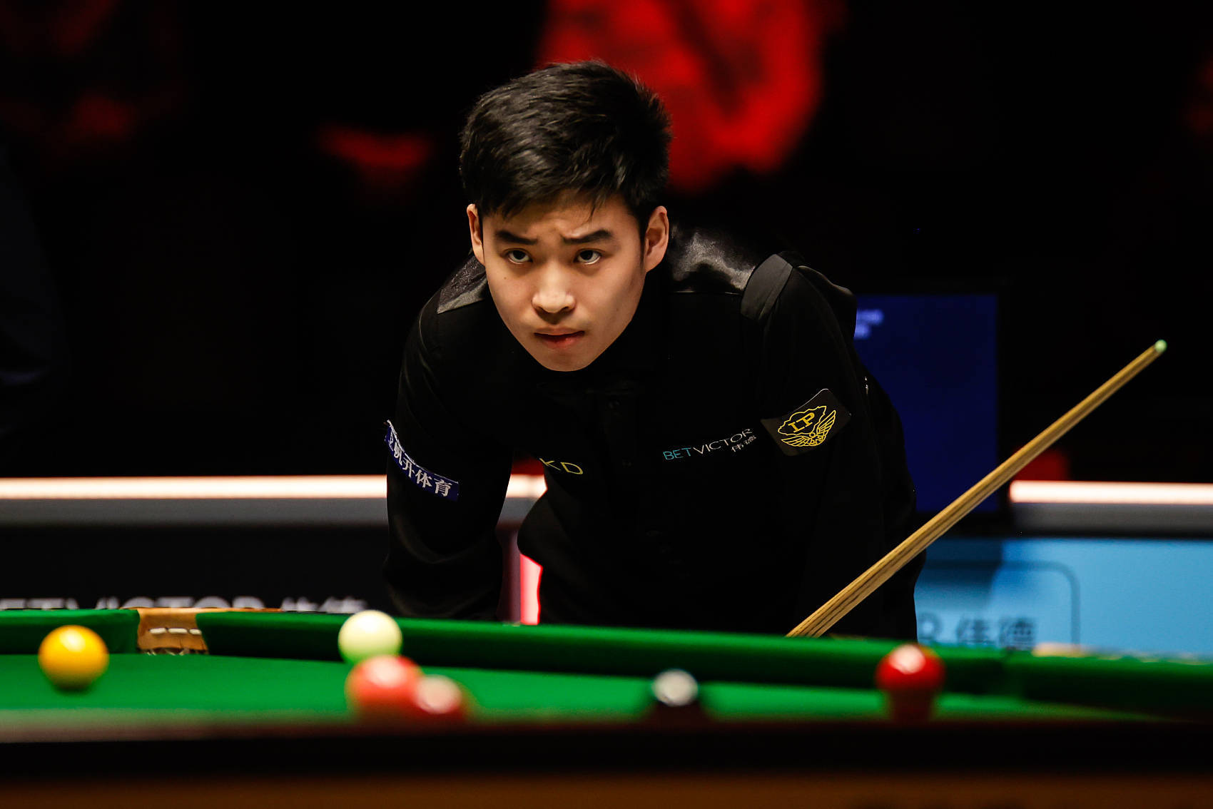 彰显了世界 彰显了世界