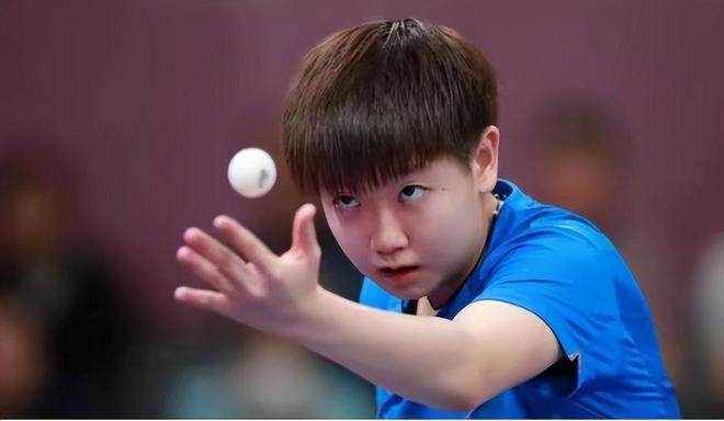 因未能将意 因未能将意