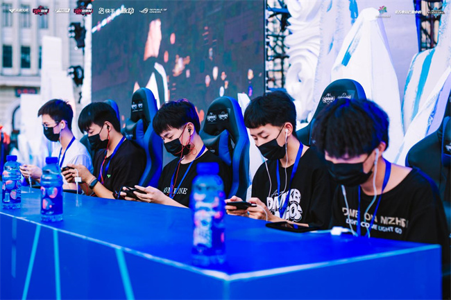 牌照与审计 牌照与审计